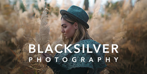 Blacksilver 汉化中文版|专业摄影照片展示博客WordPress主题-myforexstore