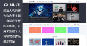 CX-MULTI主题WordPress简洁大气自适应博客杂志类免费主题-myforexstore