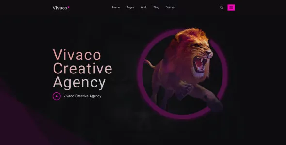 Vivaco 英文专业版|多功能自定义设计轻量WordPress主题-极客小站