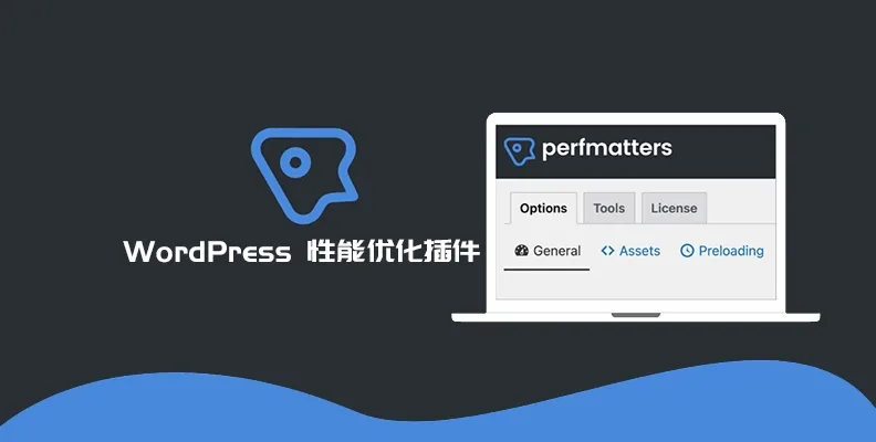 Perfmatters 汉化中文版|轻量级WordPress缓存优化加速插件-极客小站