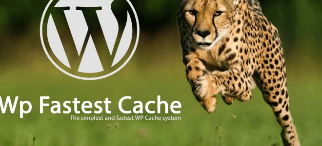 WP Fastest Cache Premium 汉化中文版|WordPress全站生成html静态缓存加速优化插件-极客小站