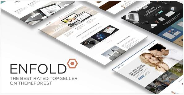 Enfold 完美汉化中文版|多用途自定义商业商店WordPress企业主题模板-myforexstore