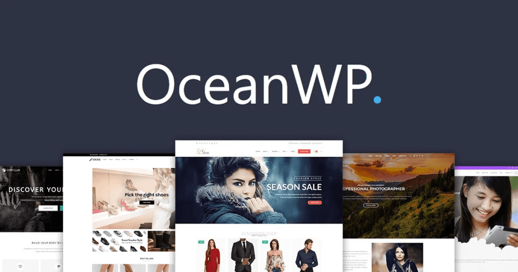 OceanWP Pro 汉化中文版|多功能轻量自定义WooCommerce主题-极客小站