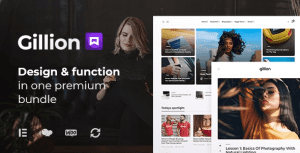 Gillion 汉化中文版|多概念博客/杂志和商店WordPress AMP主题模板-myforexstore