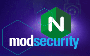 Nginx集成ModSecurity：增强网站安全性的有效途径-myforexstore