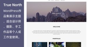 True North主题|设计摄影作品展示WordPress主题-myforexstore