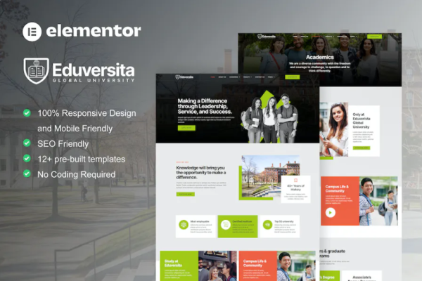 Eduversita – 大学和学院 Elementor 模板套件-极客小站
