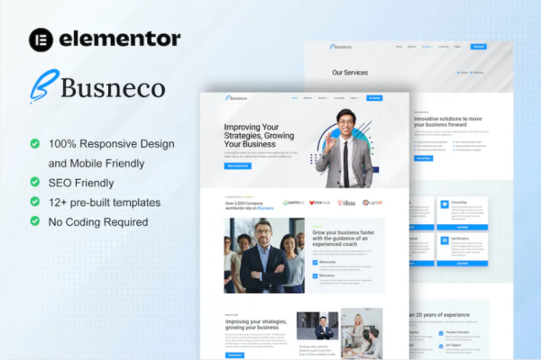 Busneco – 商务教练和咨询元素模板套件-极客小站