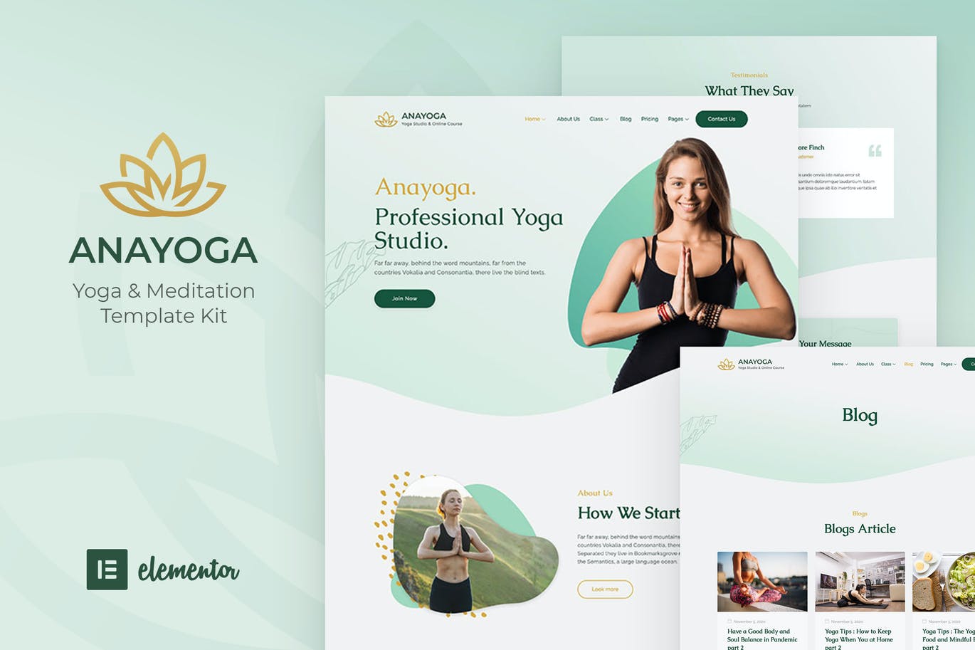 Anayoga – 瑜伽老师和工作室 Elementor Template Kit-myforexstore