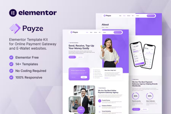 Payze – 在线支付网关和电子钱包 Elementor 模板工具包-myforexstore