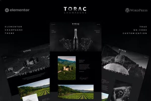Torac – Champagne Elementor 模板套件-myforexstore