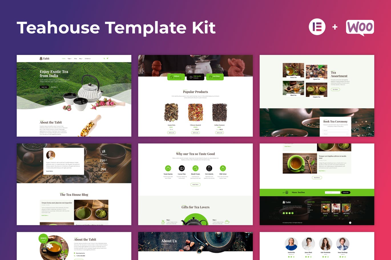 Tabit — 茶馆 Elementor Template Kit-myforexstore