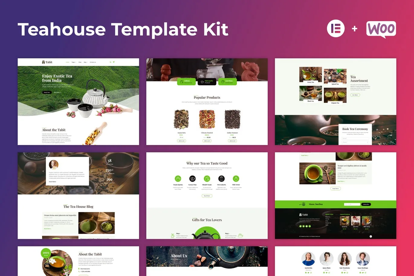 Tabit — 茶馆 Elementor Template Kit-myforexstore