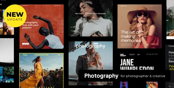 Photography 汉化中文版|高级摄影照片作品WordPress主题模板-myforexstore