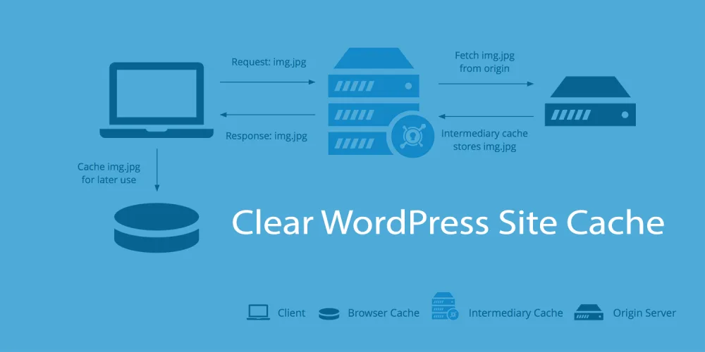 如何清除WordPress网站缓存-myforexstore