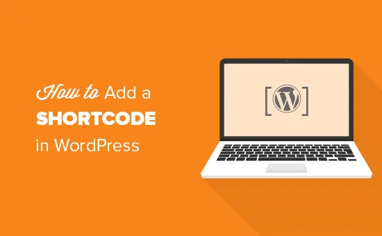 如何在WordPress中添加短代码-myforexstore
