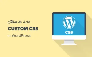 如何将自定义CSS添加到您的WordPress网站-myforexstore